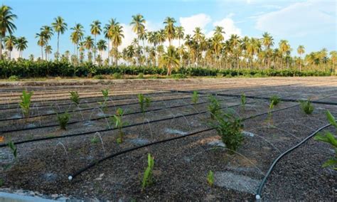 La Industria Mexicana De Coca Cola Avanza En Su Compromiso Con El