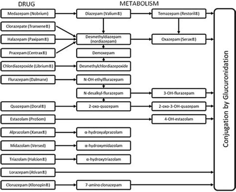 Metabolic Pathways Benzos