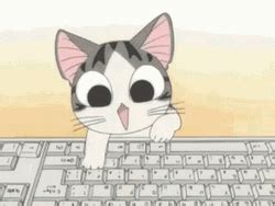 Black Cat Typing Fast GIF | GIFDB.com