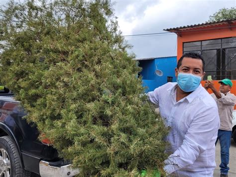 Arranca SEDEMA campaña Recicla tu Navidad en 38 municipios VentanaVer