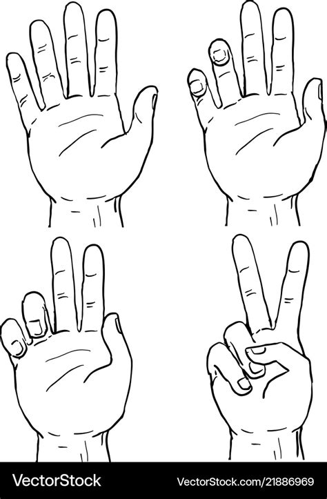 Victory or peace hand sign drawing Royalty Free Vector Image