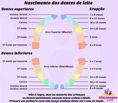 Quando nascem os primeiros dentinhos do bebê Almanaque dos Pais