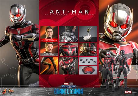 Ant Man Hot Toys Mms690 Ant Man And The Wasp Quantumania 1 6th Scale Collectible Figure