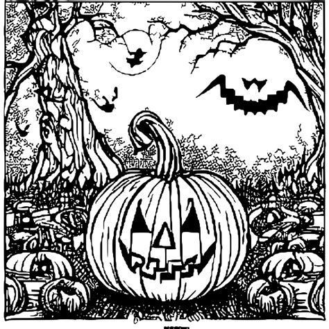 Halloween Pumpkin Coloring Page Lines Only · Creative Fabrica