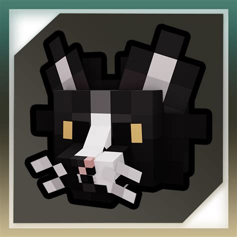 Better Cats Resource Packs Minecraft CurseForge