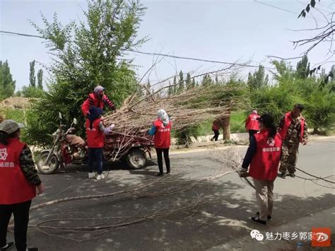 【整治城乡环境 规范市场秩序】敦煌市郭家堡镇整治环境提“颜值”澎湃号·政务澎湃新闻 The Paper