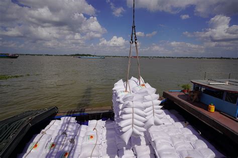 Vietnam S Rice Exports Soar After Indias Export Ban