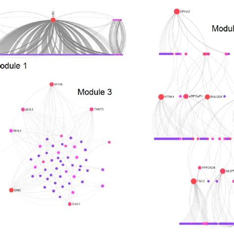 Walktrap Modules Of Potential Target Genes Extracted From The Ppi