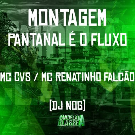 Montagem Pantanal É o Fluxo Single by MC Renatinho Falcão Spotify