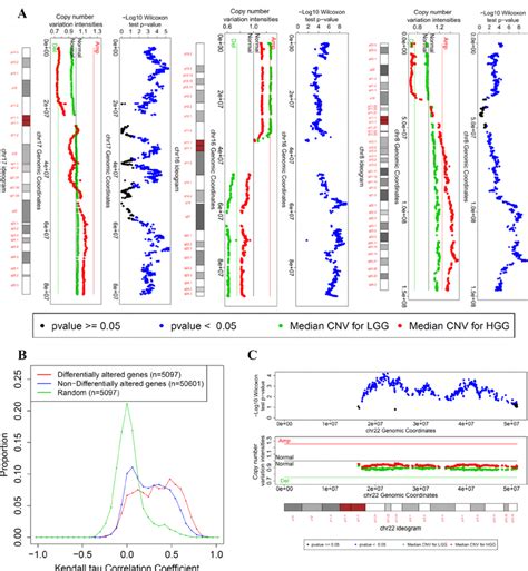 Copy Number Variation Visualization Of Few Chromosomes In Which The