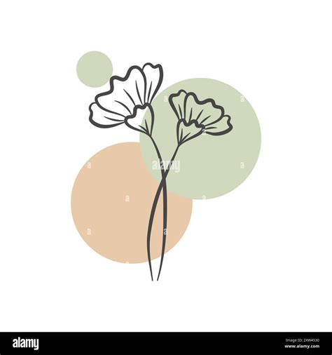 Minimalist Flowers Vector Design Stock Vector Image And Art Alamy