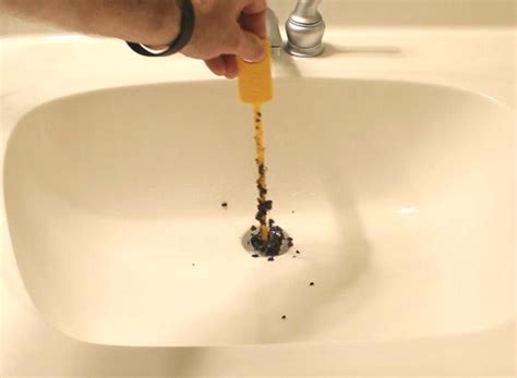 Fruit Flies In Bathroom Sink Semis Online