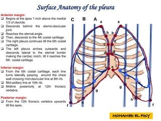 Surface Anatomy Of Heart And Lungs Ppt