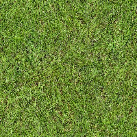 Texture Bmp Grass Texture Map