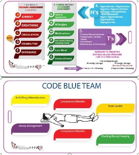 ELS - "Code Blue Team" (Buddy) Badge