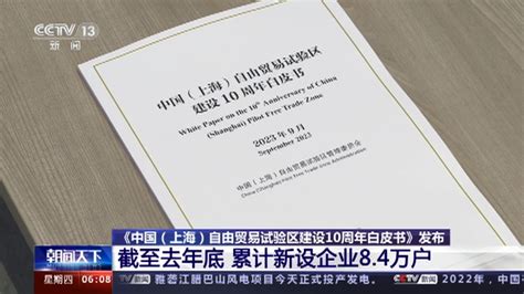 自贸试验区建设十周年新闻频道央视网