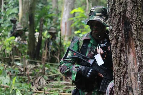 Patroli Bersama Yonif Para Raider 330 Kostrad Dan US Army Di Belantara