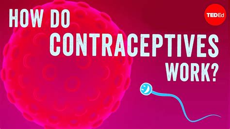 How Do Oral Contraceptives Work Telegraph