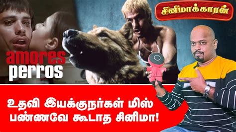 Amores Perros Movie Explained In Tamil Psychological Drama