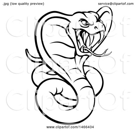 Clipart Of A Black And White Angry Green King Cobra Snake Royalty