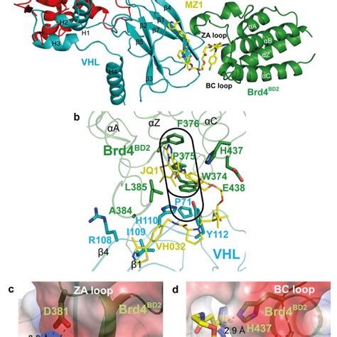 The Crystal Structure Of The Brd Bd Mz Vhl Elonginc Elonginb