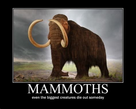 Mammoths Meme Guy