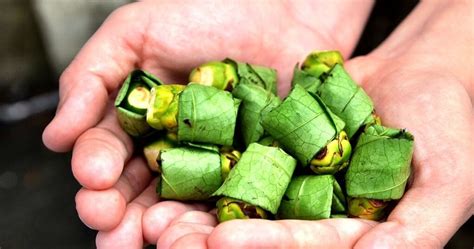 BETEL NUT CHEWING ORIGINATED IN THE TROPICAL REGIONS OF SOUTHERN ASIA, BUT IT HAS GRADUALLY ...