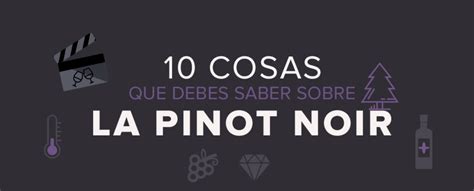 Todo Lo Que Necesitas Saber Sobre El Vino Pinot Noir Vinotecavirtual