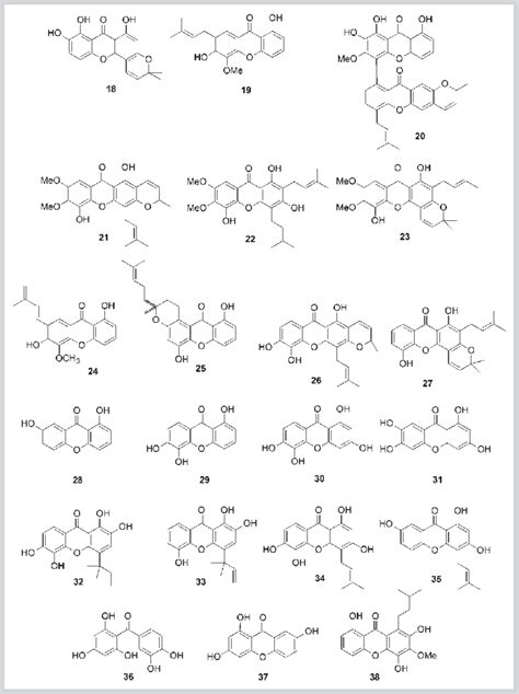 Chemical structure of xanthones and maclurin from S. globulifera ...