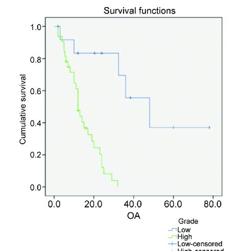 Kaplan Meier Survival Curves Comparing Ventriculoperitoneal Shunt Vps