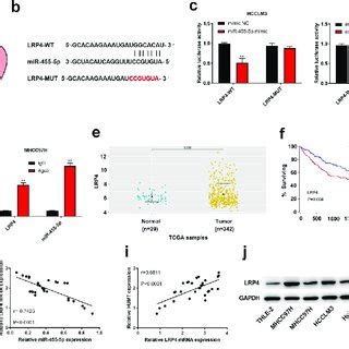 Mir P Targets Lrp In Hcc A The Intersection Of Veen Diagram