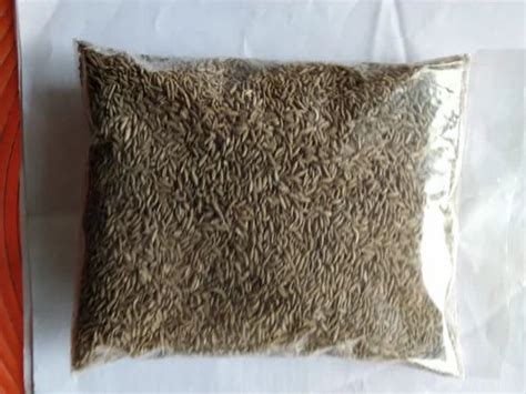 Brown Cumin Seed Jeera 1 Kg Packaging Type Packet At Rs 340 Pack In