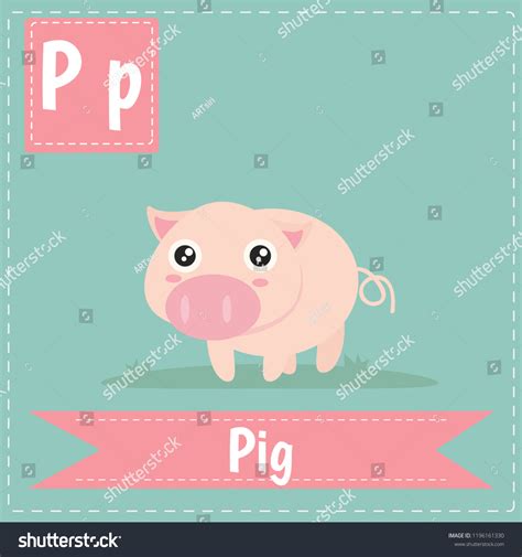 Alphabet P Letter Flashcard Pig Kids Stock Vector Royalty Free