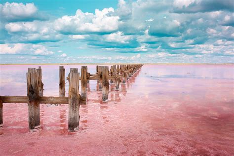 The Pink Lake Is A Beautiful Landscape Unusual Nature A Unique Rare