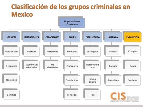 Clasificación Del Crimen Organizado En México