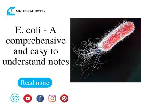 Microorganisms Archives Microbial Notes