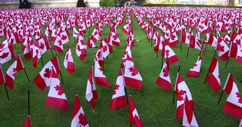 Toronto, Ontario, Canada November 2016 Thousands Of Canadian Flags On Remembrance Day For Our ...