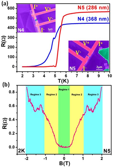 Proximity Induced Superconductivity In Bi2Se3 Nanowire Junctions A