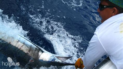 Book Deep Sea Fishing In Havana Tour Departure From Havana Cuba