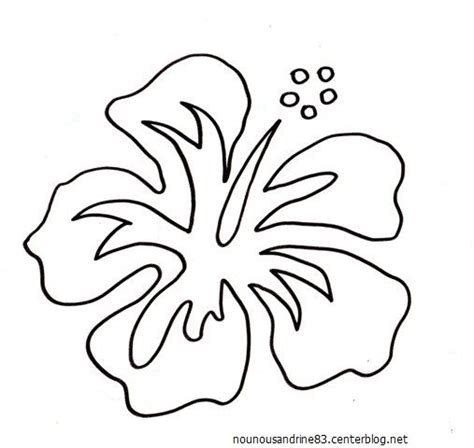 Coloriage Fleur Hibiscus