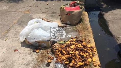 Mercado Malibr N En Veracruz Inundado De Basura