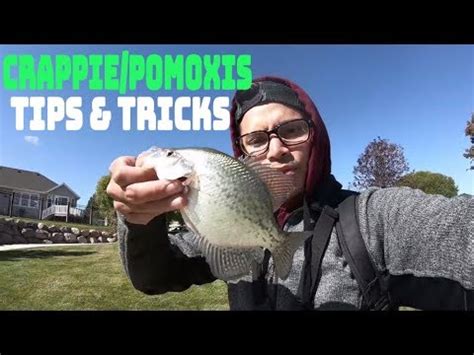 How To Catch Late Fall Crappie Crappie Fishing Tips And Tricks Youtube