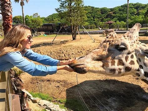Naturaleza Malla S Per Cavada Y Una Foto Muy Hot El Viaje De Jimena Bar N A Jap N Con Marley