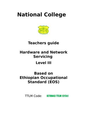 Mis Individual Assignment And The Government Addis Ababa University