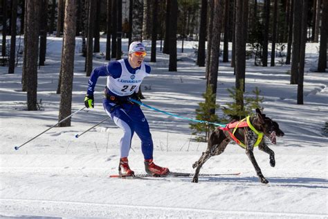 Saksanseisojakerhon Valjakkohiihtokisan 2024 Tulokset