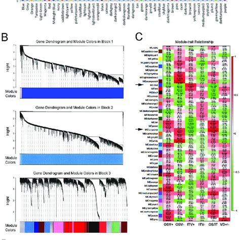 The Weighted Gene Co Expression Network Analysis Wgcna The