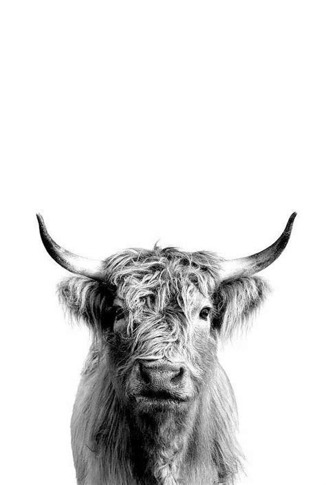 Obituary: Remembering the Life of Bertha Candia 13