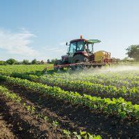 Esonero Contributivo Triennale I Codici Per I Lavoratori Agricoli