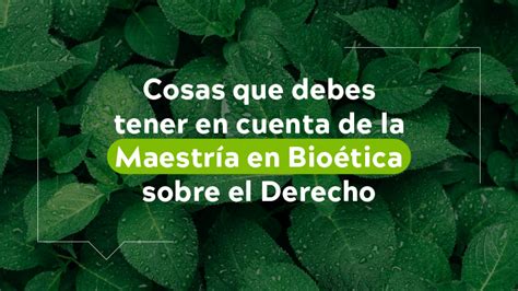 Cosas que debes tener en cuenta de la maestría en bioética sobre el