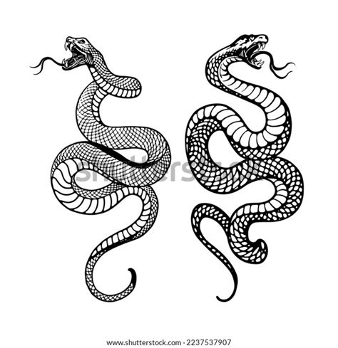 Black White Illustration Snake Illustrated Fine Stock Vector Royalty